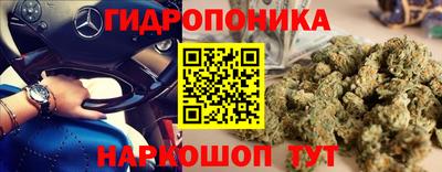 ешки Будённовск